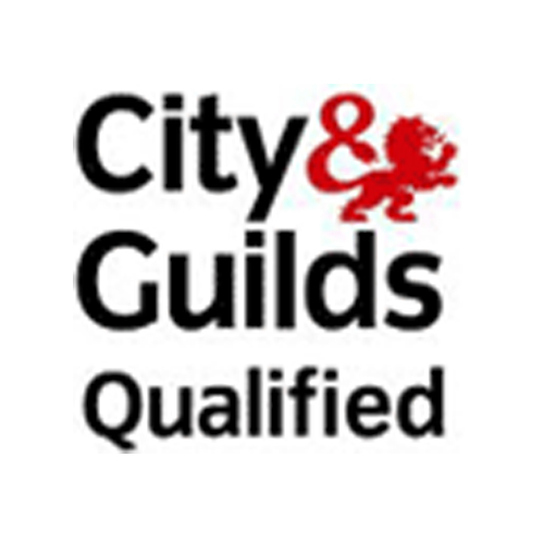 city anf guilds logo